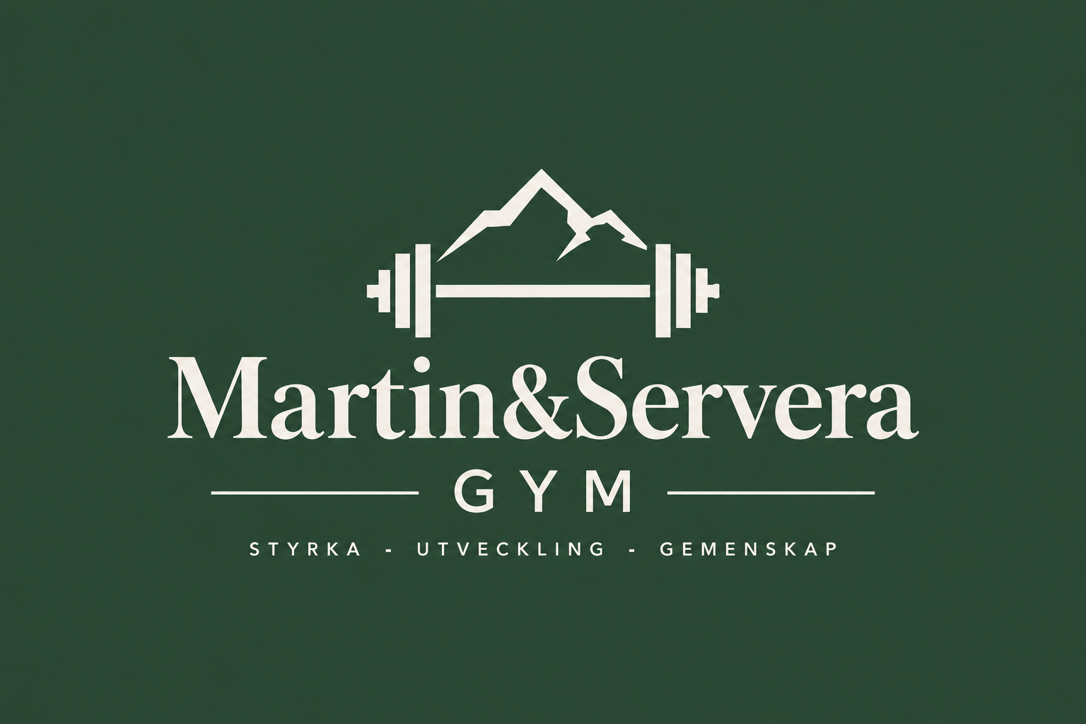 Logga gymmet 1